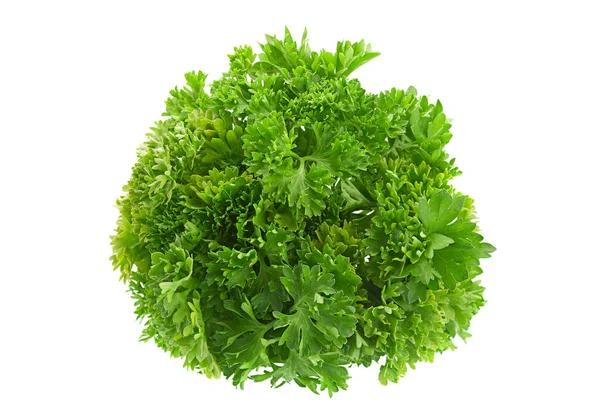 Parsley herb on white — Stock Photo, Image