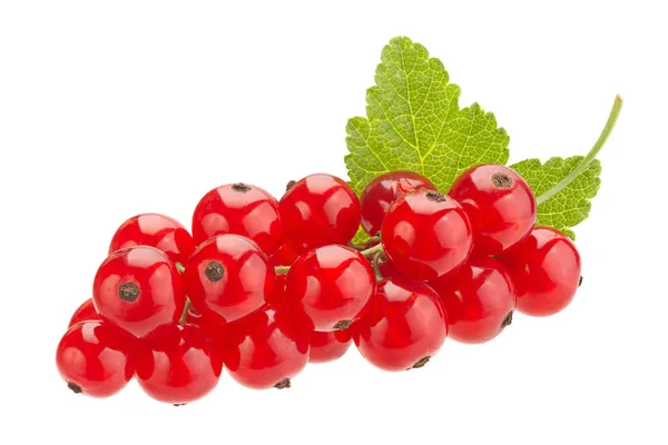 Grosella roja sobre blanco — Foto de Stock