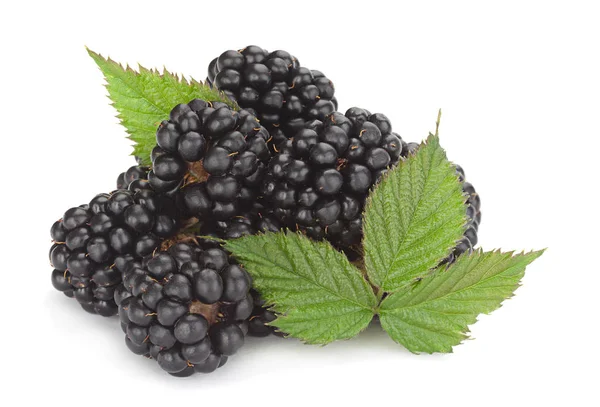 BlackBerry fruit op wit — Stockfoto