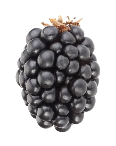 Blackberry фрукты на белом — стоковое фото