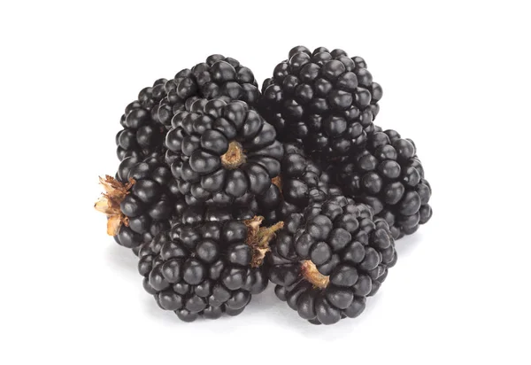 BlackBerry fruit op wit — Stockfoto