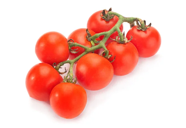 Cherry tomato bunch — Stock Photo, Image