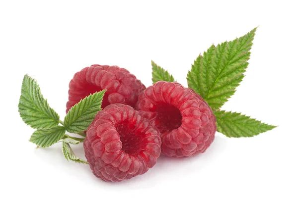 Raspberry with leaf on white — Stock Photo, Image