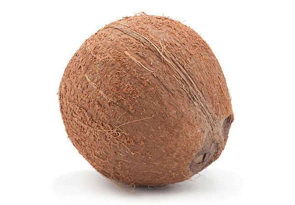 Coconut on white — Stock Photo, Image