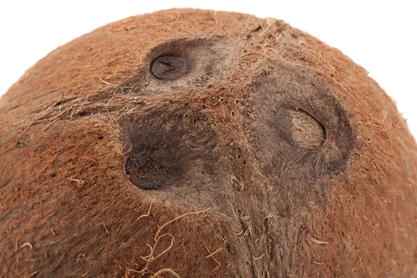 Kokosové pozadí closeup — Stock fotografie