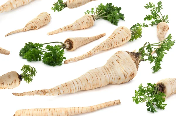 Radice vegetale di prezzemolo su bianco — Foto Stock