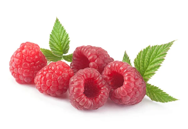 Raspberry with leaf on white — Stock Photo, Image