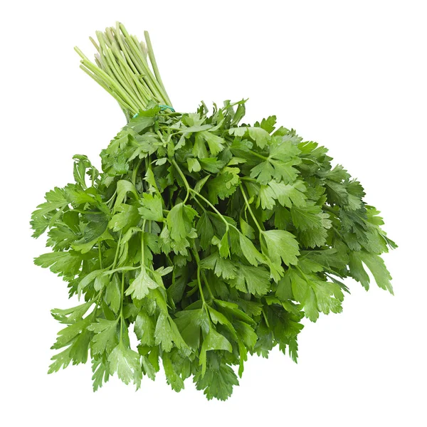 Parsley vegetable herb on white — Stock Photo, Image