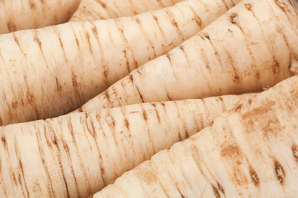 Parsley vegetable root closeup — Stock Photo, Image