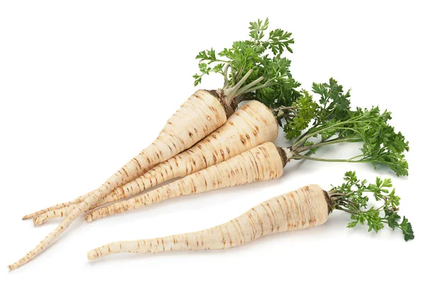 Pietruszka korzeniowa warzyw na białym — Zdjęcie stockowe