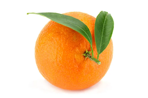 Tangerine tropical fruit on white — Stock Photo, Image