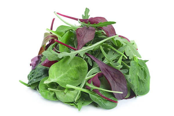 Salad leaf mix — Stock Photo, Image