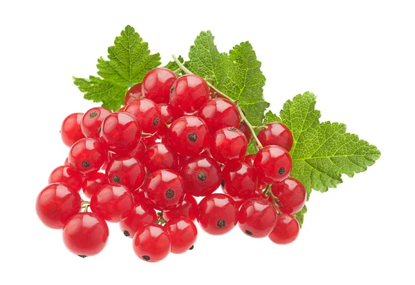 Grosella roja sobre blanco — Foto de Stock