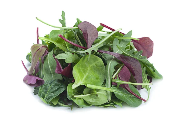 Mistura de folhas de salada — Fotografia de Stock
