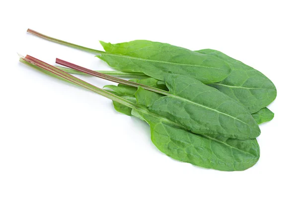 Sorrel foglia vegetale isolato — Foto Stock