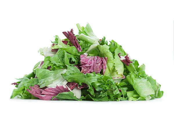 Fresh salad leaf slice — Stock Photo, Image