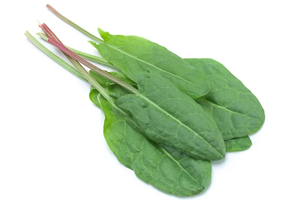 Sorrel vegetable leaf isolated — Stock Photo, Image