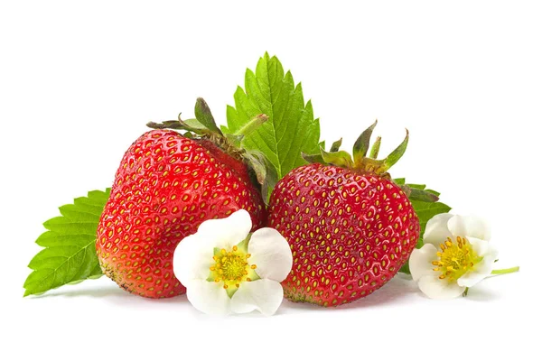 Primer plano de la fruta de fresa en blanco — Foto de Stock