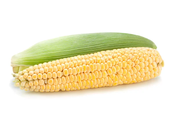 Surowa kukurydza wszystko — Zdjęcie stockowe