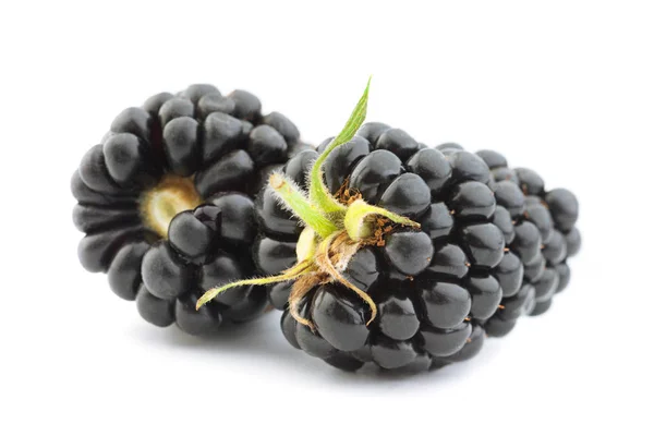 Blackberry fruit on white — Stock Photo, Image
