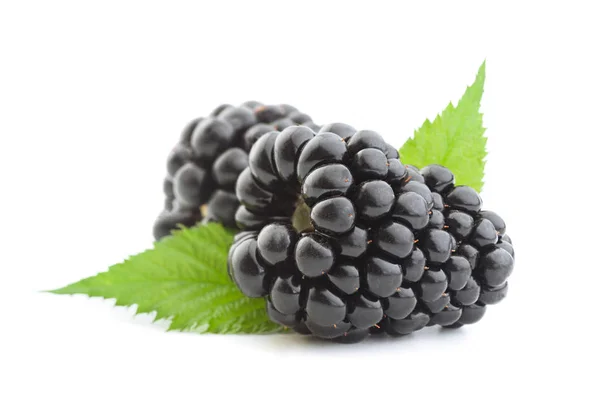 Blackberry фрукты на белом — стоковое фото