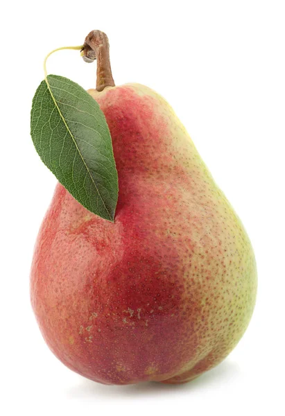 Pear fruit on white — Stock Photo, Image