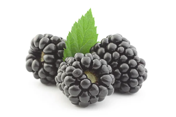 BlackBerry fruit op wit — Stockfoto