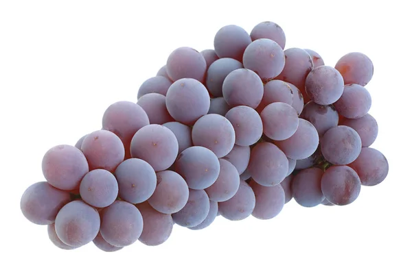 Uvas Lydia canadienses sobre blanco — Foto de Stock