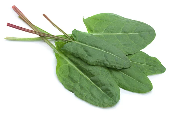 Sorrel foglia vegetale isolato — Foto Stock