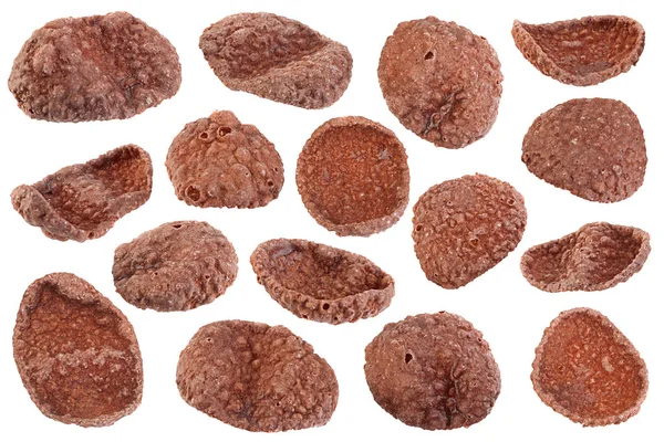 Kakao Cornflakes isolierte Sammlung — Stockfoto