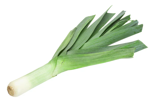 Légume de poireau sur blanc — Photo