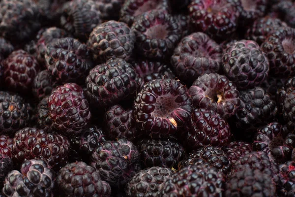 树莓和黑莓的混合背景 — 图库照片