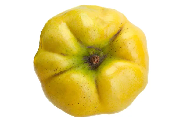 Quince Ripe Fruit Isolated White Background — Stock Photo, Image