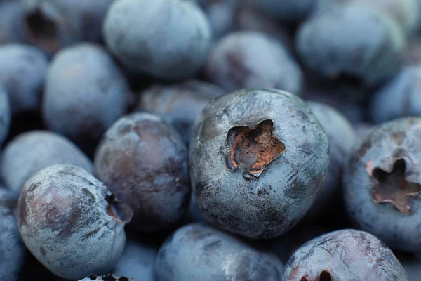 블루베리 열매를 배경을 만든다 — 스톡 사진