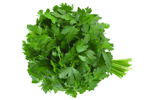 Parsley Herb Bunch Isolated White Background — Stock Photo, Image