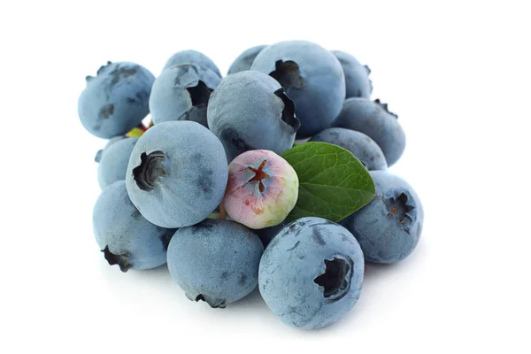 Blueberry Berry Close Geïsoleerd Witte Achtergrond — Stockfoto