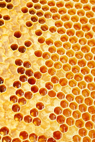 Жовтий Honeycomb Крупним Планом Текстура Деталь Горизонтальний Фон — стокове фото