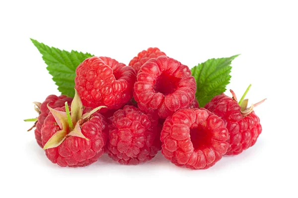 Raspberry Fruit Closeup Isolated White Background — Stock Photo, Image