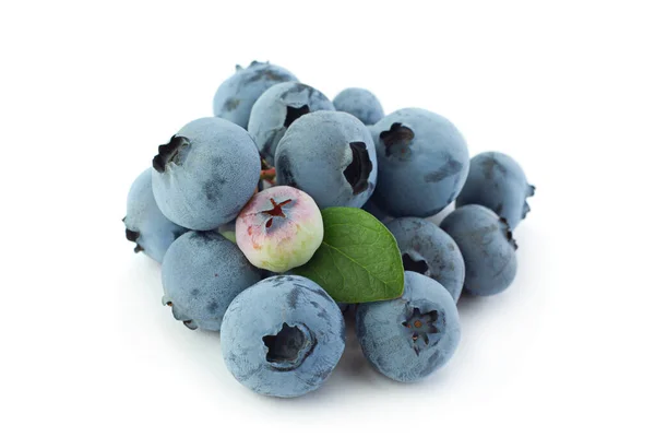 Blueberry Berry Close Geïsoleerd Witte Achtergrond — Stockfoto