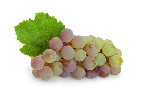 Druiven Lydia Close Geïsoleerd Witte Achtergrond — Stockfoto