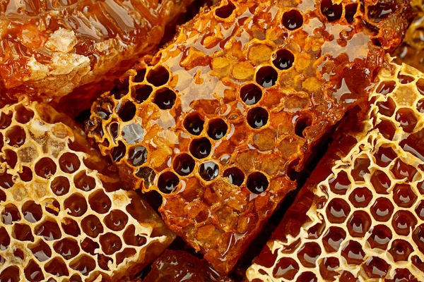Honeycomb Rebanada Primer Plano Textura Detalle Horizontal Fondo —  Fotos de Stock