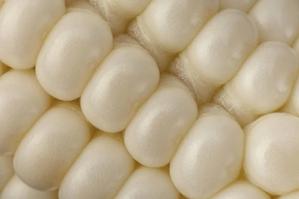 Branco Milho Doce Vegatable Closeup Sementes Milho Fundo — Fotografia de Stock