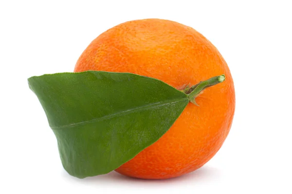 白で隔離されたクレメンチン柑橘類の果実 — ストック写真