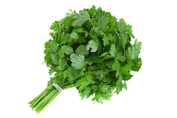 Parsley Herb Bunch Isolated White Background — Stock Photo, Image
