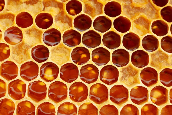 Amarelo Honeycomb Closeup Textura Detalhe Horizontal Fundo — Fotografia de Stock