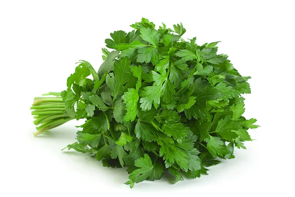 Parsley Herb Bunch Isolated White Background — Stock Photo, Image