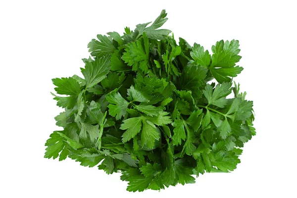 Parsley Herb Bunch Isolated White Background — Stock Photo, Image