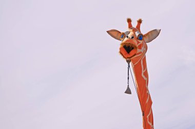 Vinç Giraffeemaking