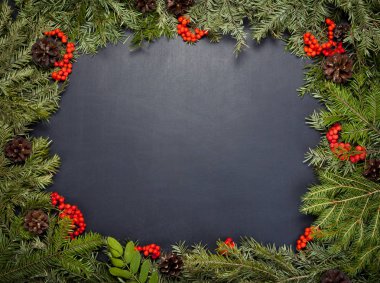Noel framework herdem yeşil çam ağacı, koni ve holly berry kara tahta arka plan ile.