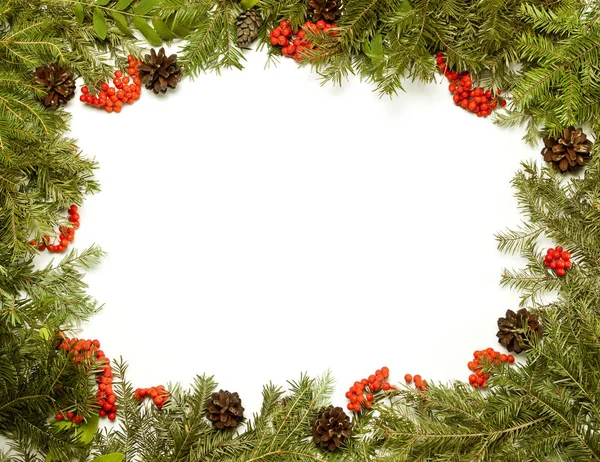 Noel framework herdem yeşil çam ağacı, koni ve beyaz arka plan üzerinde izole holly berry ile.